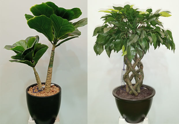 Pratibimb Gifts and  Artifacts